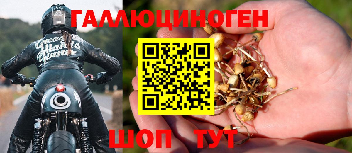 Псилоцибиновые грибы прущие грибы Приморско-Ахтарск