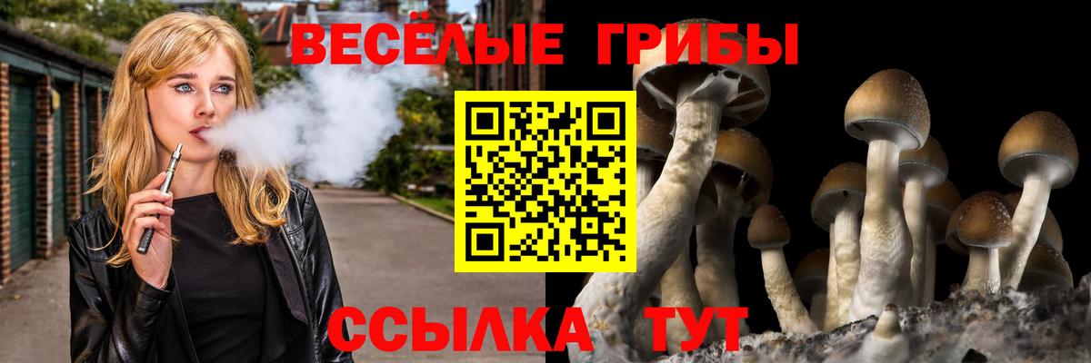 Галлюциногенные грибы Cubensis  Вход с VPN  Приморско-Ахтарск  Псилоцибиновые грибы мицелий 