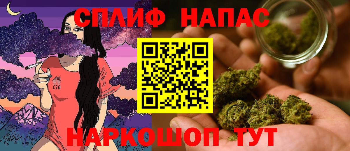 Бошки Шишки THC 21%  Вход с VPN  МАРИХУАНА план  Марихуана конопля  Приморско-Ахтарск 